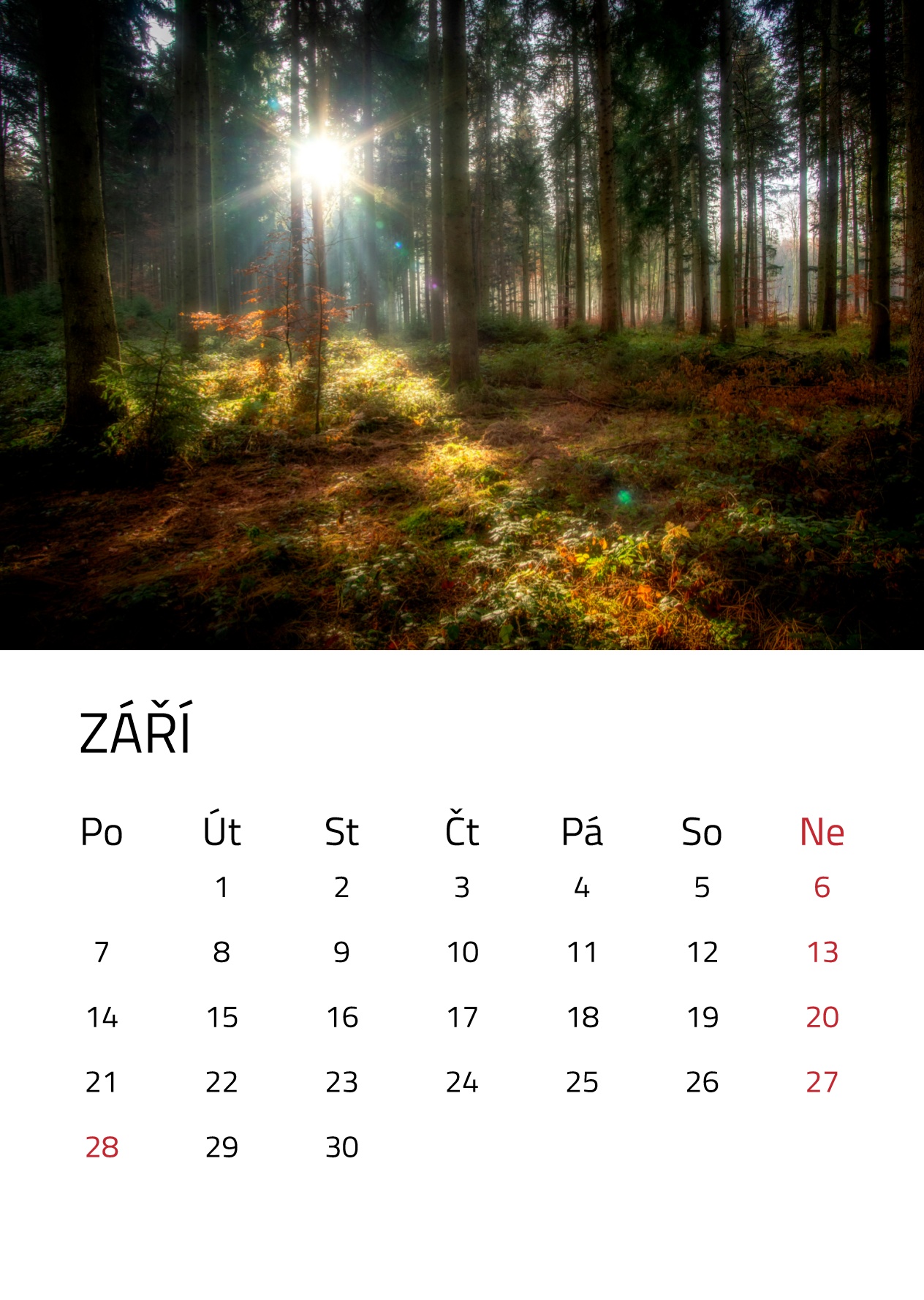 Varianta 1.